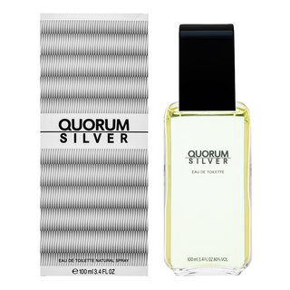 Antonio Puig Quorum Silver toaletní voda pro muže 100 ml (obrázek 3)
