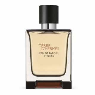 Hermès Terre D'Hermes Intense parfémovaná voda pro muže 50 ml