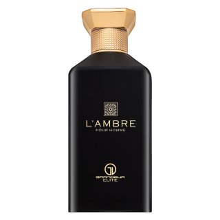 Grandeur L'Ambre parfémovaná voda pro muže 100 ml