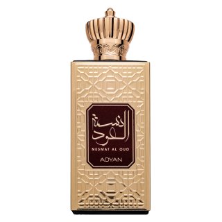 Adyan Nesmat Al Oud parfémovaná voda pro muže 60 ml