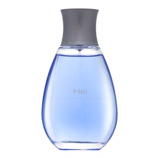 Alfred Sung Hei toaletní voda pro muže 100 ml