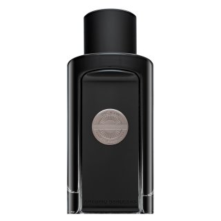 Levně Antonio Banderas The Icon parfémovaná voda pro muže 100 ml
