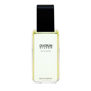 Antonio Puig Quorum Silver toaletní voda pro muže 100 ml