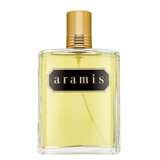 Levně Aramis Aramis toaletní voda pro muže 240 ml