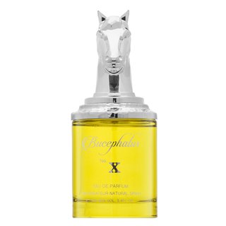 Levně Armaf Bucephalus No. X parfémovaná voda pro muže 100 ml