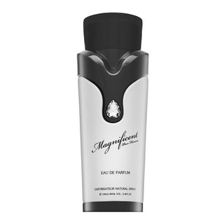 Armaf Magnificent Pour Homme parfémovaná voda pro muže 100 ml