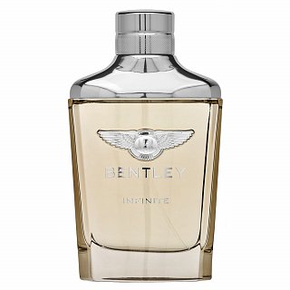 Bentley Infinite toaletní voda pro muže 100 ml