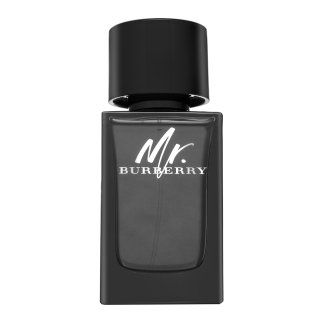 Levně Burberry Mr. Burberry parfémovaná voda pro muže 100 ml