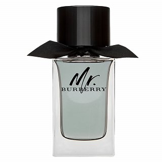 Levně Burberry Mr. Burberry toaletní voda pro muže 100 ml