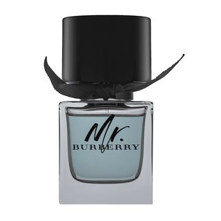 Levně Burberry Mr. Burberry toaletní voda pro muže 50 ml