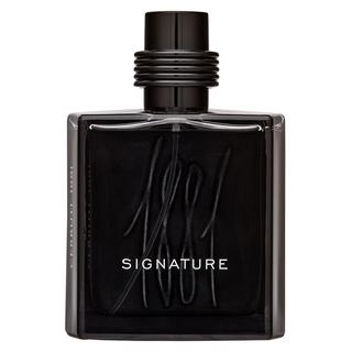 Levně Cerruti 1881 Signature parfémovaná voda pro muže 100 ml