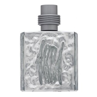 Levně Cerruti 1881 Silver toaletní voda pro muže 100 ml