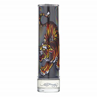 Levně Christian Audigier Ed Hardy For Men toaletní voda pro muže 100 ml