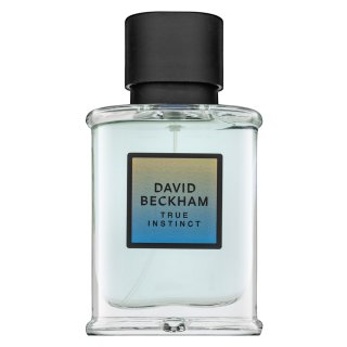 David Beckham True Instinct parfémovaná voda pro muže 50 ml