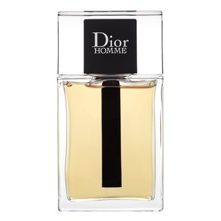 Levně Dior (Christian Dior) Dior Homme 2020 toaletní voda pro muže 100 ml