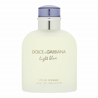 Levně Dolce & Gabbana Light Blue Pour Homme toaletní voda pro muže 125 ml