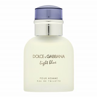 Levně Dolce & Gabbana Light Blue Pour Homme toaletní voda pro muže 40 ml