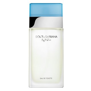 Levně Dolce & Gabbana Light Blue toaletní voda pro ženy 100 ml