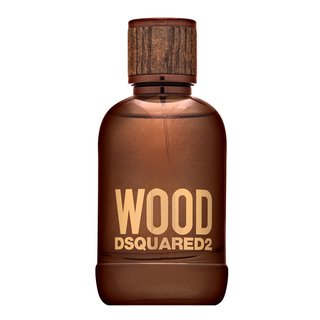 Dsquared2 Wood toaletní voda pro muže 100 ml