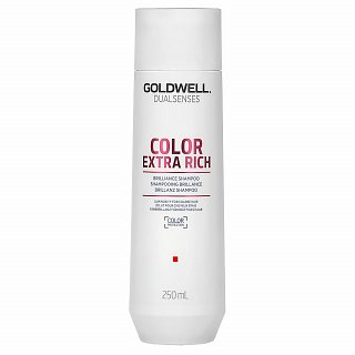 Levně Goldwell Dualsenses Color Extra Rich Brilliance Shampoo šampon pro barvené vlasy 250 ml