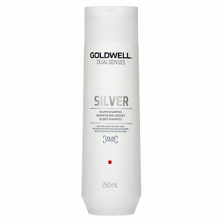 Goldwell Dualsenses Silver Shampoo šampon pro platinově blond a šedivé vlasy 250 ml