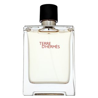 Hermes Terre D'Hermes toaletní voda pro muže 100 ml