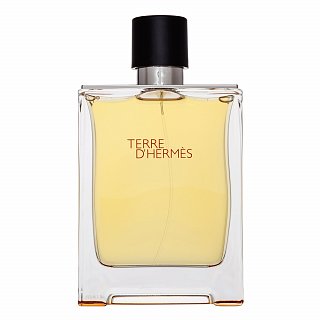 Levně Hermès Terre D'Hermes toaletní voda pro muže 200 ml