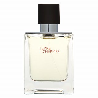 Levně Hermès Terre D'Hermes toaletní voda pro muže 50 ml