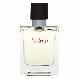 Hermès Terre D'Hermes toaletní voda pro muže 50 ml