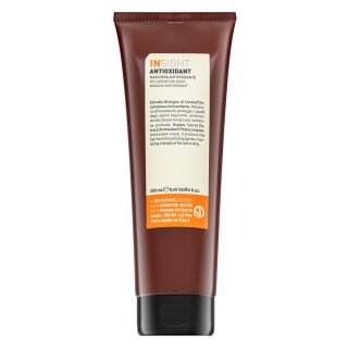 Insight Antioxidant Rejuvenating Mask vyživující maska pro ochranu a lesk vlasů 250 ml