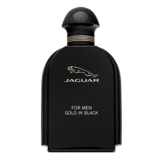 Levně Jaguar For Men Gold in Black toaletní voda pro muže 100 ml