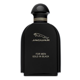 Jaguar For Men Gold in Black toaletní voda pro muže 100 ml