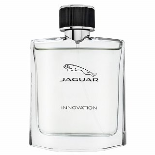 Levně Jaguar Innovation toaletní voda pro muže 100 ml