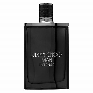 Man Intense - EDT 100 ml
