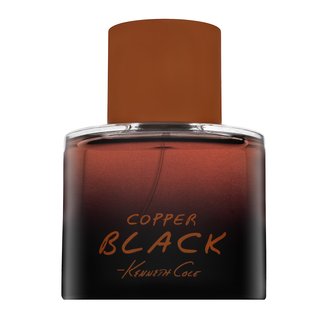 Levně Kenneth Cole Black Copper toaletní voda pro muže 100 ml