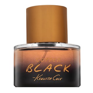 Levně Kenneth Cole Black Copper toaletní voda pro muže 50 ml