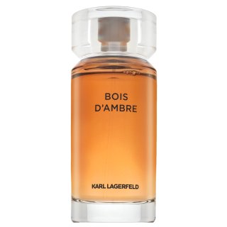 Levně Lagerfeld Bois d'Ambre toaletní voda pro muže 100 ml