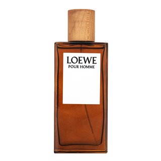 Levně Loewe Pour Homme toaletní voda pro muže 100 ml