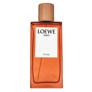 Levně Loewe Solo Atlas parfémovaná voda pro muže 100 ml