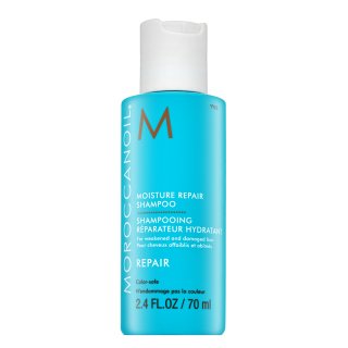 Regenerační šampon s obsahem arganového oleje na slabé a poškozené vlasy (Moisture Repair Shampoo) 70 ml