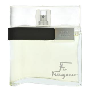 Levně Salvatore Ferragamo F by Ferragamo Pour Homme toaletní voda pro muže 100 ml