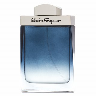 Salvatore Ferragamo Subtil Pour Homme toaletní voda pro muže 100 ml