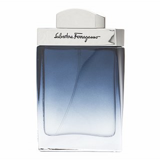 Levně Salvatore Ferragamo Subtil Pour Homme toaletní voda pro muže 50 ml