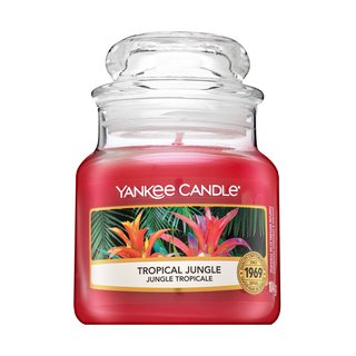 Levně Yankee Candle Tropical Jungle votivní svíčka 104 g