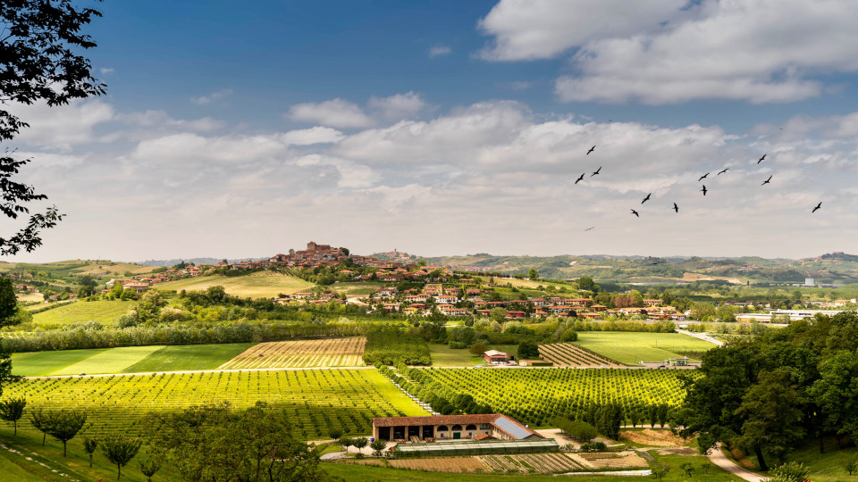 Vinobraní je za dveřmi – kam letos vyrazit (nejen) za dobrým vínem?